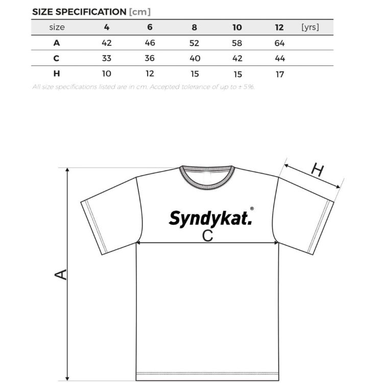 rozmiarówka dziecięca tabela rozmiarów koszulka dla dzieci BMW Syndykat KIDS.jpg
